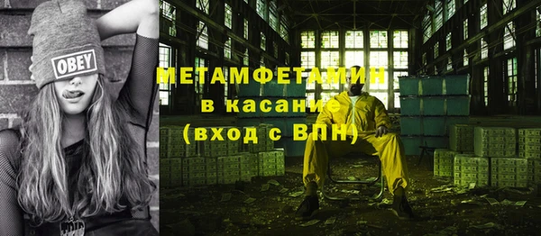 прущие грибы Балабаново