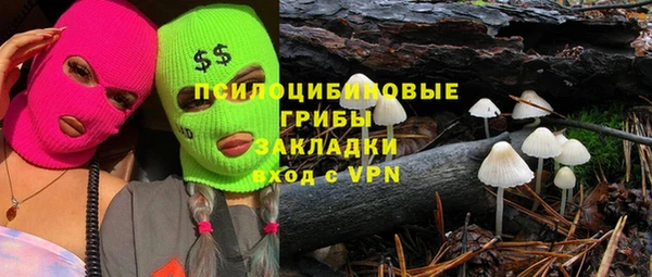 прущие грибы Балабаново