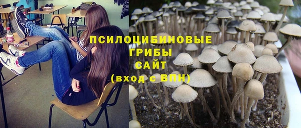 метадон Армянск
