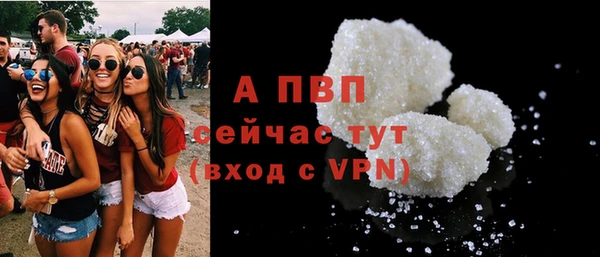 прущие грибы Балабаново