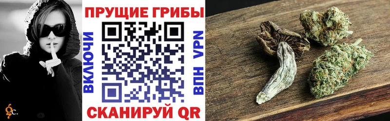 блэк спрут вход  Сланцы  Псилоцибиновые грибы Psilocybine cubensis 