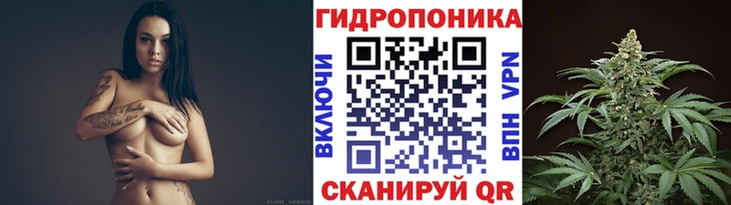где можно купить наркотик  Сланцы  darknet формула  Конопля ГИДРОПОН  hydra зеркало 